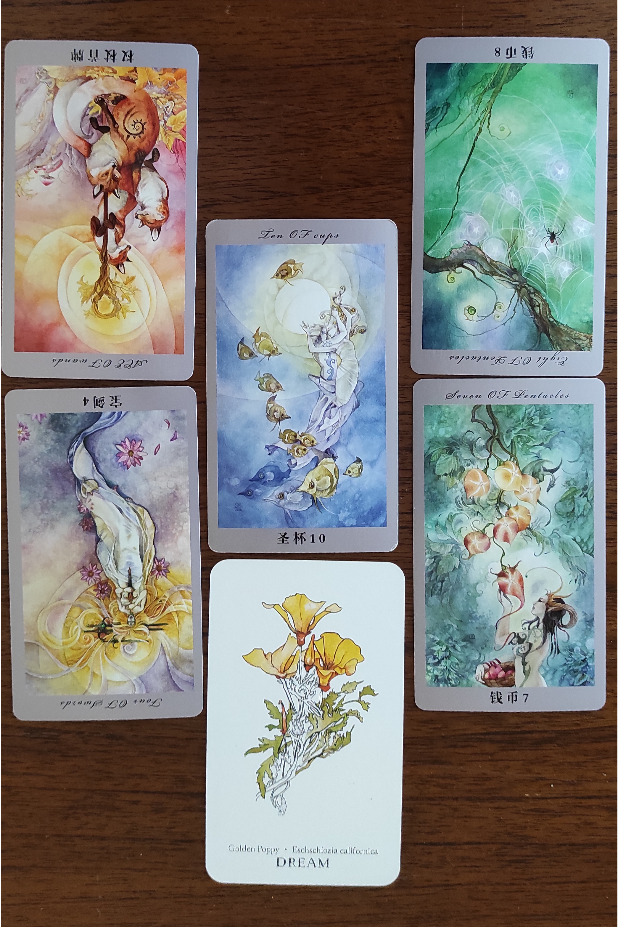 empty_vessel_seeps_tarot.png
